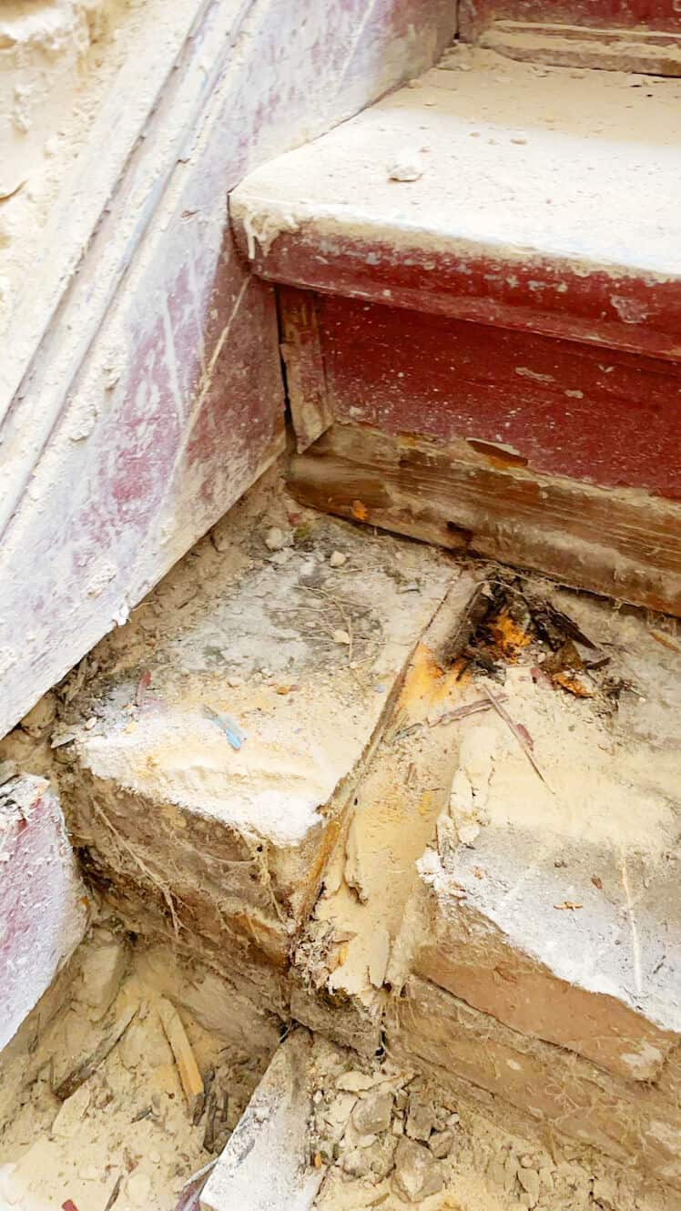 Die Zimmerei Meyer bietet fachgerechte Hilfe gegen den echten Hausschwamm 